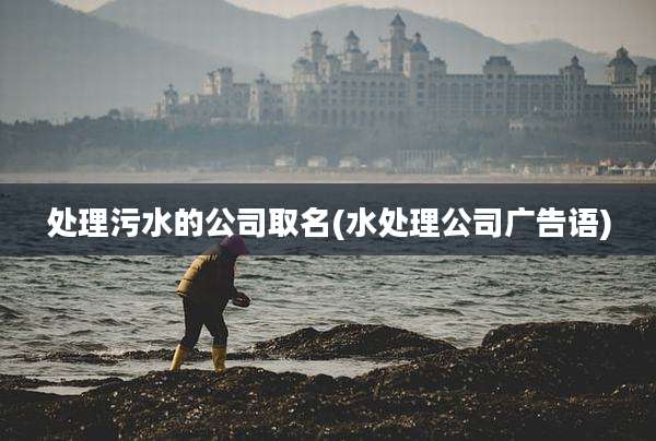 处理污水的公司取名(水处理公司广告语)