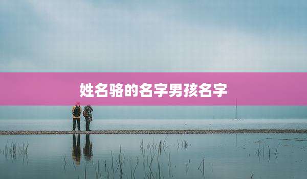 姓名骆的名字男孩名字