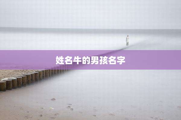 姓名牛的男孩名字