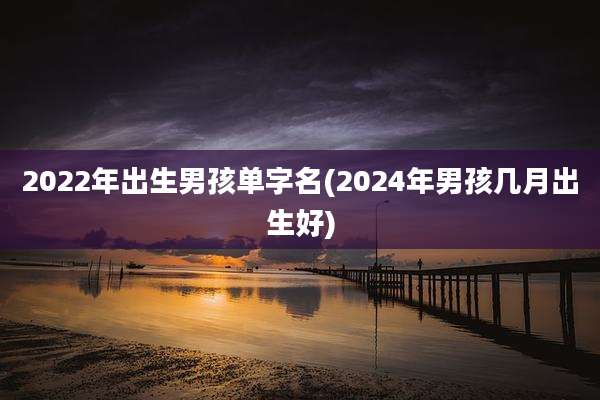 2022年出生男孩单字名(2024年男孩几月出生好)