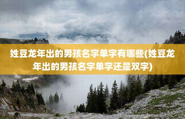 姓豆龙年出的男孩名字单字有哪些(姓豆龙年出的男孩名字单字还是双字)