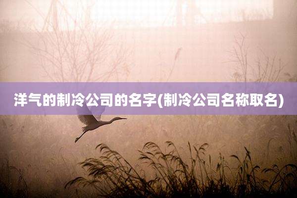 洋气的制冷公司的名字(制冷公司名称取名)