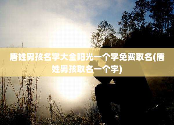唐姓男孩名字大全阳光一个字免费取名(唐姓男孩取名一个字)
