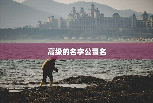高级的名字公司名