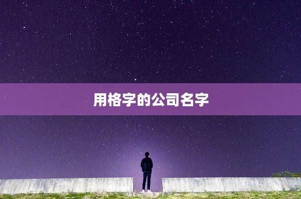 用格字的公司名字