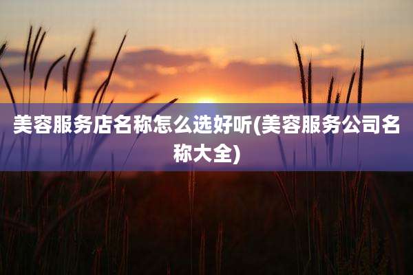 美容服务店名称怎么选好听(美容服务公司名称大全)