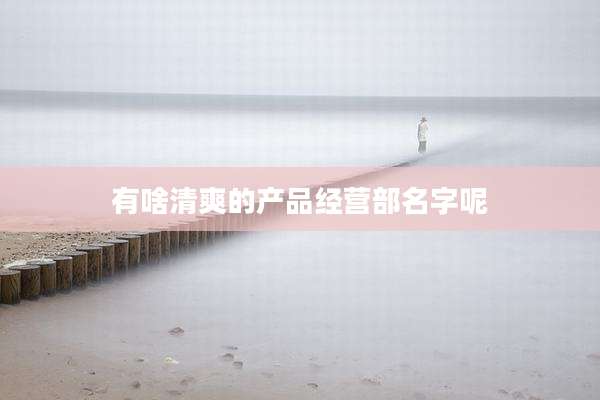 有啥清爽的产品经营部名字呢
