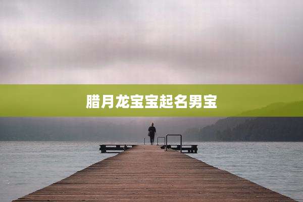 腊月龙宝宝起名男宝