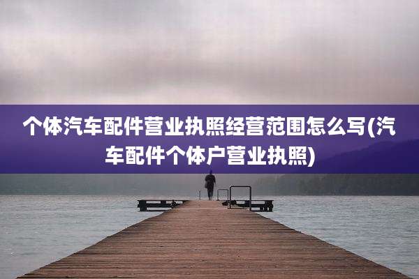 个体汽车配件营业执照经营范围怎么写(汽车配件个体户营业执照)