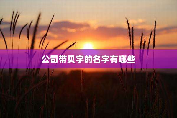 公司带贝字的名字有哪些