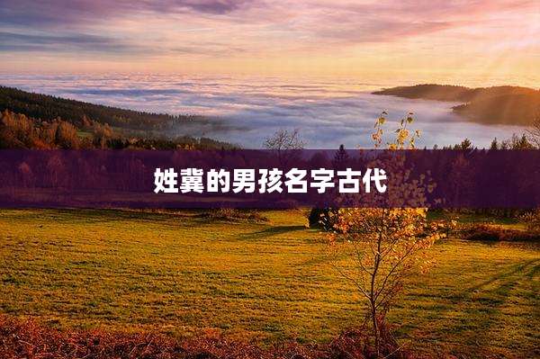 姓冀的男孩名字古代