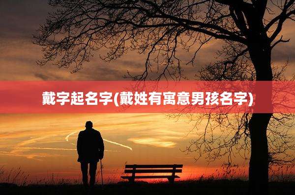戴字起名字(戴姓有寓意男孩名字)