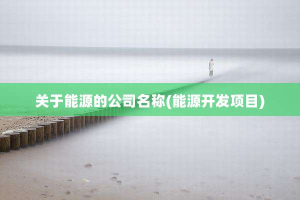 关于能源的公司名称(能源开发项目)