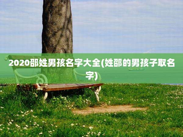2020邵姓男孩名字大全(姓邵的男孩子取名字)