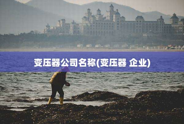 变压器公司名称(变压器 企业)