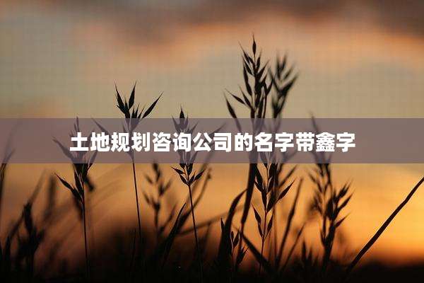 土地规划咨询公司的名字带鑫字