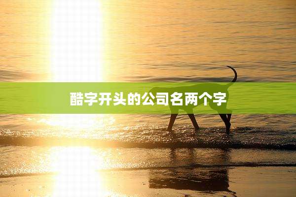 酷字开头的公司名两个字