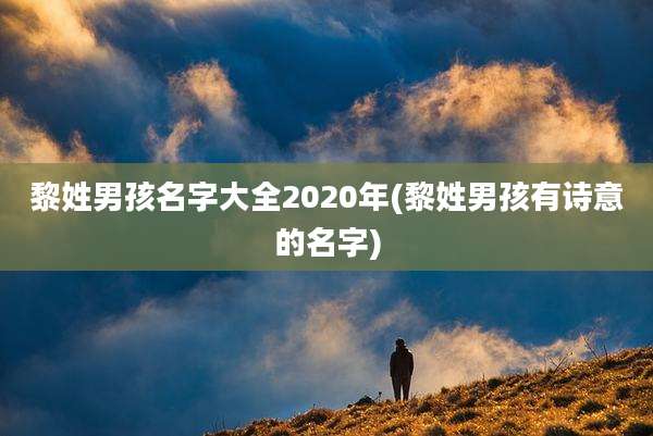 黎姓男孩名字大全2020年(黎姓男孩有诗意的名字)