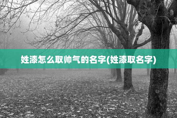 姓漆怎么取帅气的名字(姓漆取名字)