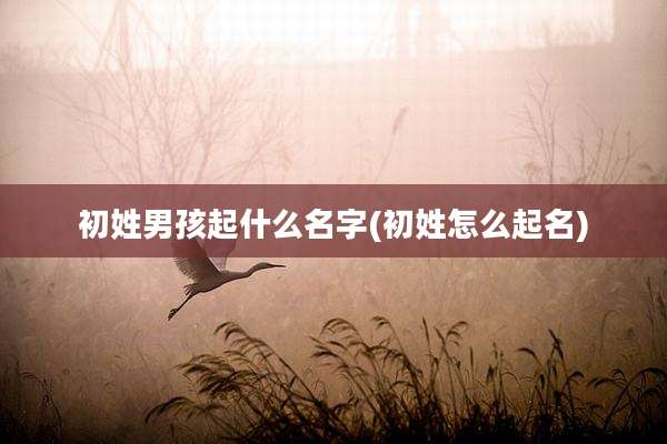 初姓男孩起什么名字(初姓怎么起名)
