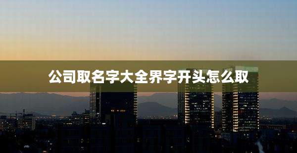 公司取名字大全界字开头怎么取