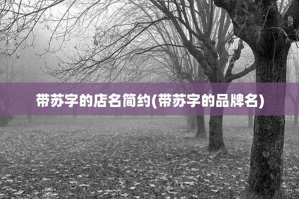 带苏字的店名简约(带苏字的品牌名)