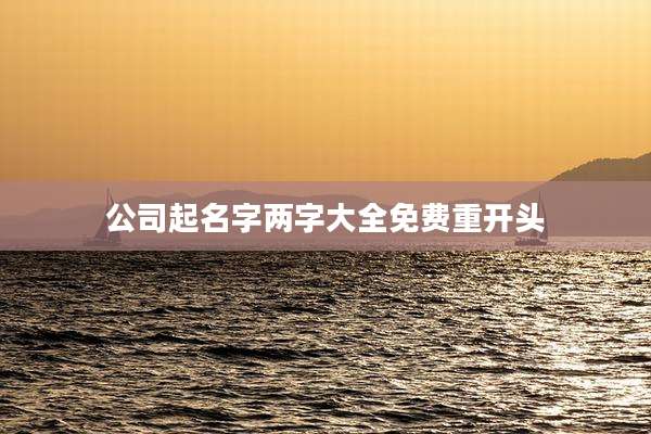 公司起名字两字大全免费重开头