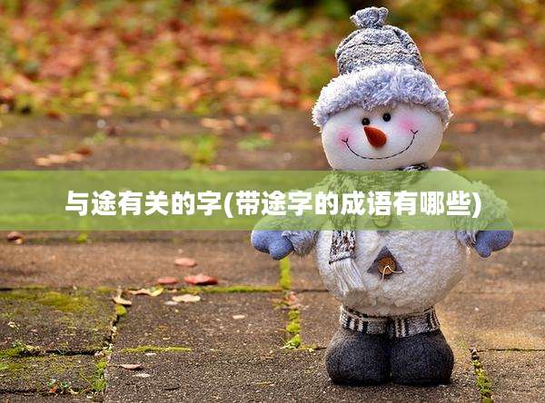 与途有关的字(带途字的成语有哪些)