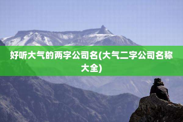 好听大气的两字公司名(大气二字公司名称大全)