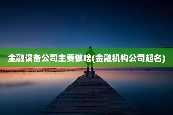 金融设备公司主要做啥(金融机构公司起名)