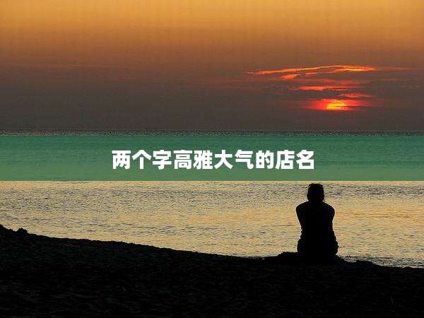 两个字高雅大气的店名