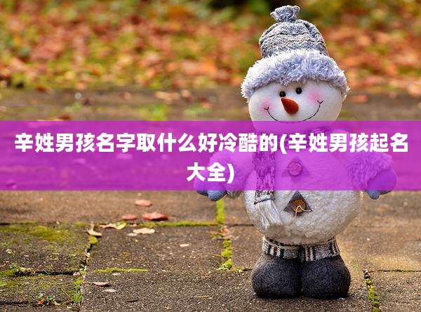 辛姓男孩名字取什么好冷酷的(辛姓男孩起名大全)