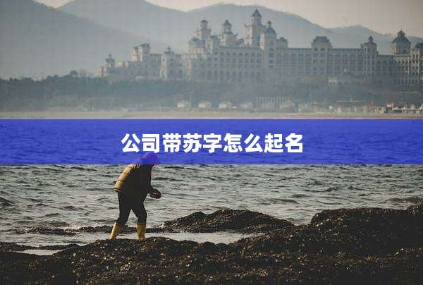 公司带苏字怎么起名