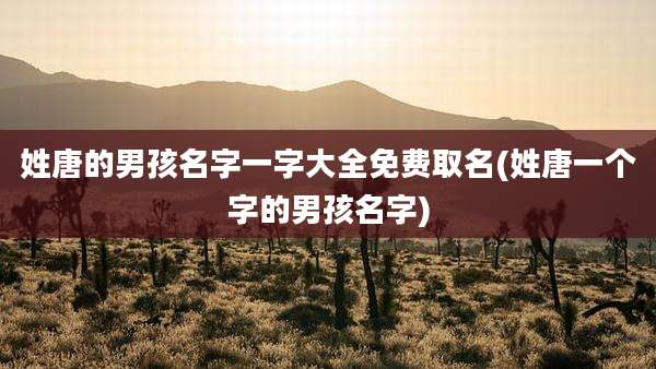 姓唐的男孩名字一字大全免费取名(姓唐一个字的男孩名字)