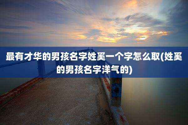 最有才华的男孩名字姓奚一个字怎么取(姓奚的男孩名字洋气的)