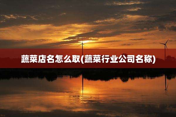 蔬菜店名怎么取(蔬菜行业公司名称)