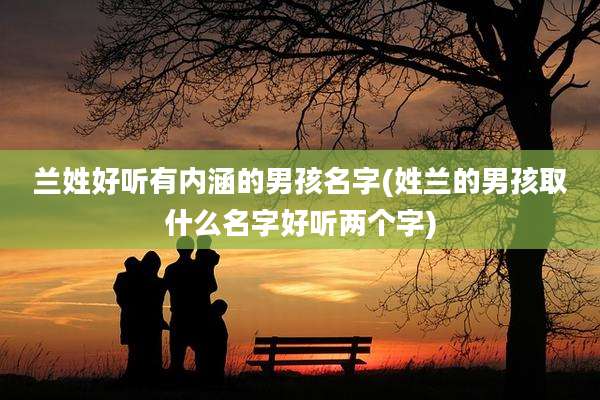 兰姓好听有内涵的男孩名字(姓兰的男孩取什么名字好听两个字)