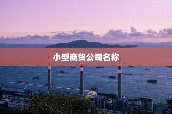 小型商贸公司名称