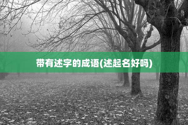 带有述字的成语(述起名好吗)
