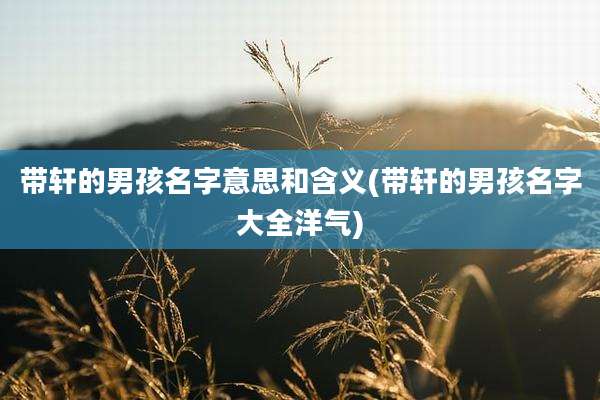 带轩的男孩名字意思和含义(带轩的男孩名字大全洋气)