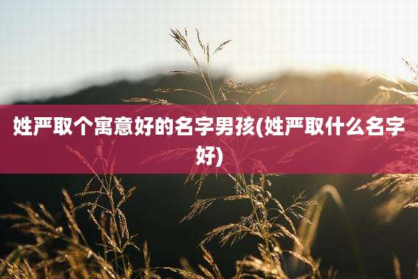 姓严取个寓意好的名字男孩(姓严取什么名字好)