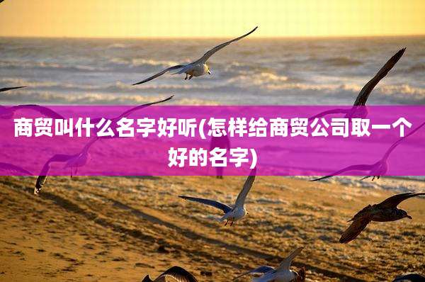 商贸叫什么名字好听(怎样给商贸公司取一个好的名字)
