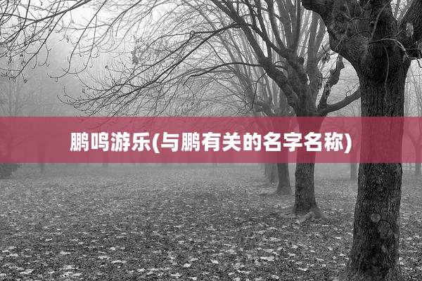 鹏鸣游乐(与鹏有关的名字名称)