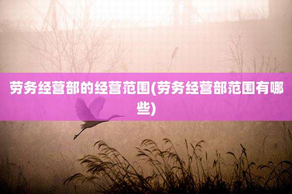 劳务经营部的经营范围(劳务经营部范围有哪些)