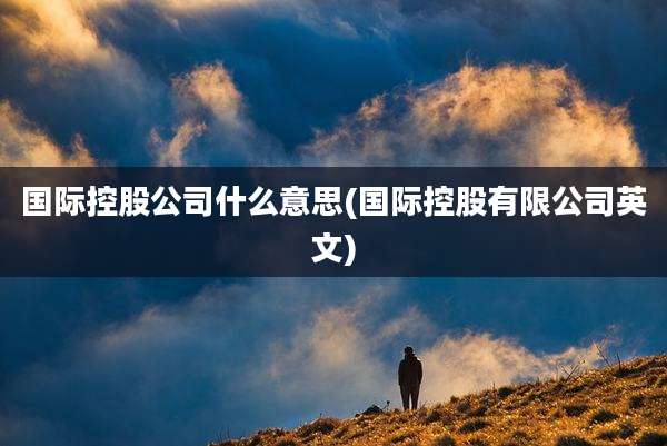 国际控股公司什么意思(国际控股有限公司英文)