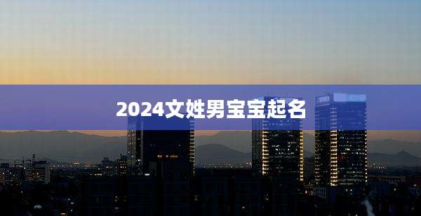 2024文姓男宝宝起名