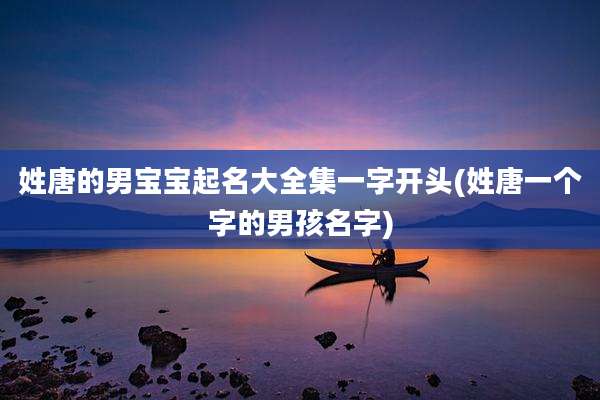 姓唐的男宝宝起名大全集一字开头(姓唐一个字的男孩名字)