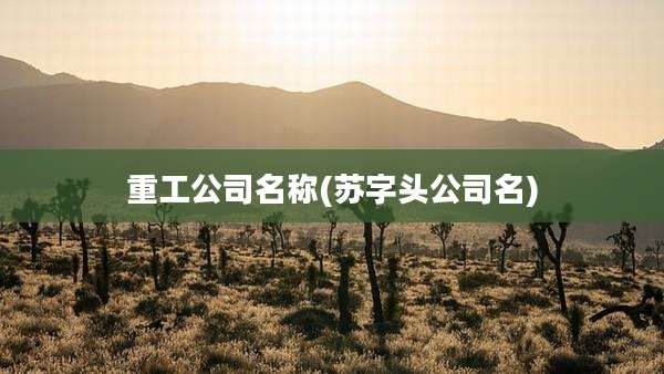 重工公司名称(苏字头公司名)