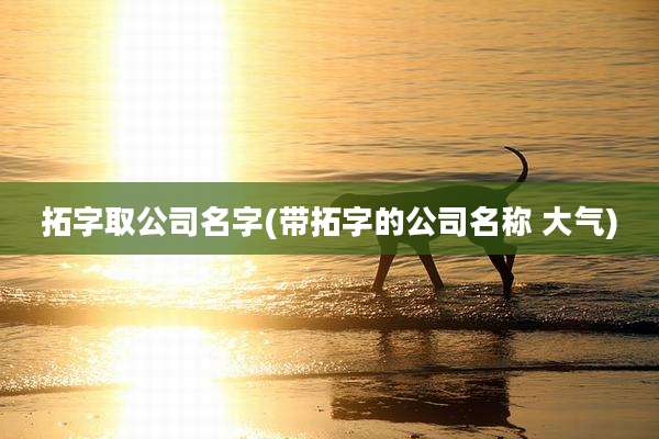 拓字取公司名字(带拓字的公司名称 大气)