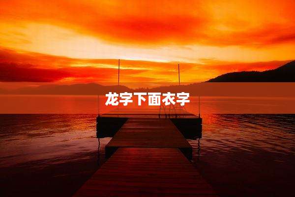 龙字下面衣字